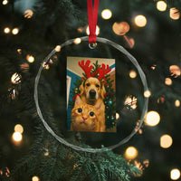 Funny Cat With Dog Selfie Christmas Crystal Glass Ornament Pet Lover Xmas Gift TS14