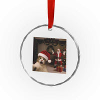 Funny Cat With Santa Selfie Christmas Crystal Glass Ornament TS14