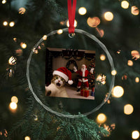 Funny Cat With Santa Selfie Christmas Crystal Glass Ornament - Wonder Print Shop