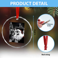 Funny Christmas Cat Selfie With Santa Crystal Glass Ornament TS09
