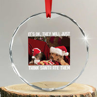 Funny Christmas Dog And Cat Crystal Glass Ornament It's Ok They Will Just Think Santa Ate Them TS11