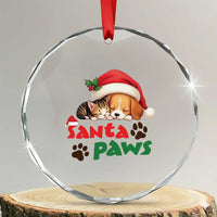 Funny Christmas Santa Paws Dogs And Cats Crystal Glass Ornament TS09