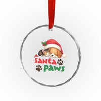 Funny Christmas Santa Paws Dogs And Cats Crystal Glass Ornament TS09