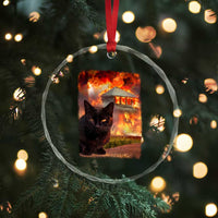 Funny Crazy Cat Selfie Crystal Glass Ornament Bad Kitty Chaos Humor Graphic