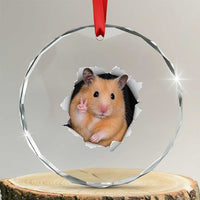 Funny Curious Hamster Peeking Through A Cracked Wall Meme Crystal Glass Ornament