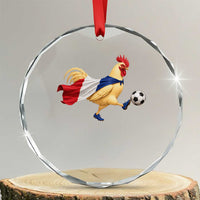 Funny France Soccer Crystal Glass Ornament Rooster Wearing French Flag Patriotic Football Fan Graphic