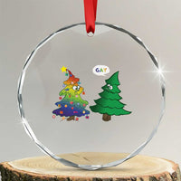 Funny Gay Xmas Crystal Glass Ornament Rainbow Christmas Tree LGBT TS09