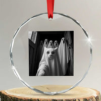 Funny Ghost Cat Halloween Meme Crystal Glass Ornament TS14