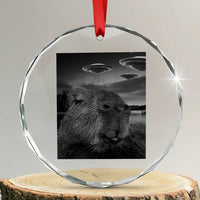 Funny Graphic Capybara Selfie with UFOs Weird Crystal Glass Ornament TS10