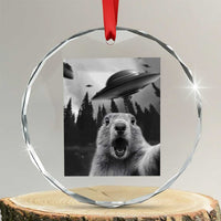 Funny Groundhog Selfie With Alien UFOs Weird Ground Hog Day Crystal Glass Ornament - Wonder Print Shop