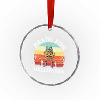 Funny Halloween Frog Crystal Glass Ornament Retro Spooky Season Funny Frogs Costume TS10