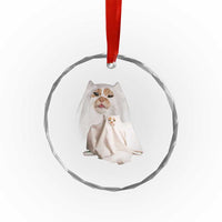 Funny Halloween Ghost Cat Meme Crystal Glass Ornament TS10