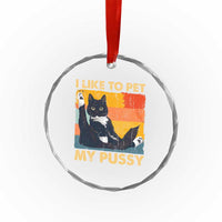 Funny Humor Saying Cat Crystal Glass Ornament I Like To Pet My Pussy Naughty Vintage TS10