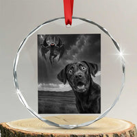 Funny Labrador Selfie With Mothman Crystal Glass Ornament Cryptid Gift - Wonder Print Shop