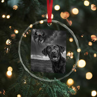 Funny Labrador Selfie With Mothman Crystal Glass Ornament Cryptid Gift TS12