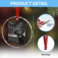 Funny Labrador Selfie With Mothman Crystal Glass Ornament Cryptid Gift TS12