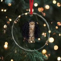 Funny Long Curly Hair Wig Cat Soccer Fans Crystal Glass Ornament Football Meme Sports Humor