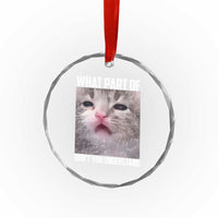 Funny Math Cat Lover Crystal Glass Ornament What Part Of Do Not You Understand - Wonder Print Shop