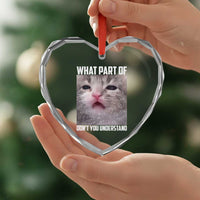 Funny Math Cat Lover Heart Crystal Glass Ornament What Part Of Do Not You Understand - Wonder Print Shop