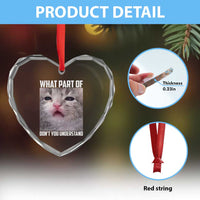 Funny Math Cat Lover Heart Crystal Glass Ornament What Part Of Do Not You Understand - Wonder Print Shop