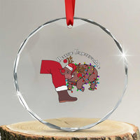 Funny Moo Deng Christmas Crystal Glass Ornament Become Ungovernable Reindeer Xmas Santa TS11