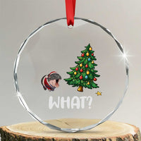 Funny Moo Deng Christmas Crystal Glass Ornament What Santa Cute Hippo Zoo Meme Baby Pygmy Xmas Tree TS11