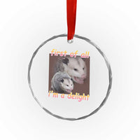 Funny Opossum Crystal Glass Ornament First Of All I'm A Delight TS02