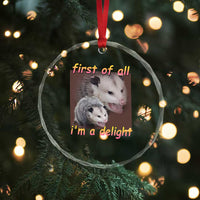 Funny Opossum Crystal Glass Ornament First Of All I'm A Delight TS02