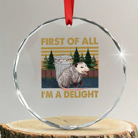 Funny Opossum Crystal Glass Ornament First Of All I'm A Delight Retro Vintage TS02