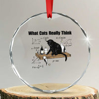 Funny Physics Cat Meme Crystal Glass Ornament What Cats Really Think