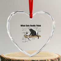 Funny Physics Cat Meme Heart Crystal Glass Ornament What Cats Really Think