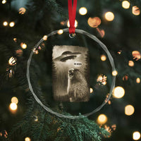 Funny Six Seven Crystal Glass Ornament Screaming Groundhog UFO Meme