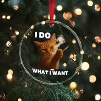 Funny Smoking Cat Crystal Glass Ornament I Do What I Want Sarcastic Cats Meme - Wonder Print Shop