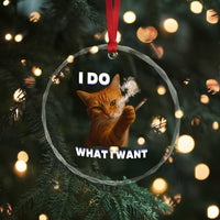 Funny Smoking Cat Crystal Glass Ornament I Do What I Want Sarcastic Cats Meme TS12