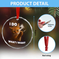 Funny Smoking Cat Crystal Glass Ornament I Do What I Want Sarcastic Cats Meme TS12