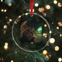 Funny Smoking Cat Crystal Glass Ornament Retro 90s Grunge Cat Selfie Streetwear Meme TS10