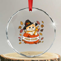 Funny Thanksgiving Cat Lover Crystal Glass Ornament Purritans Pilgrim Puritans Hat TS11