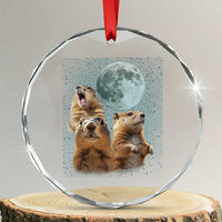 Funny Three Groundhog Meme Crystal Glass Ornament Woodchucks Under The Moon TS02