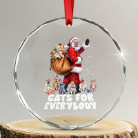 Funny Xmas Cat Crystal Glass Ornament Cats For Everybody Xmas Santa Pet TS11