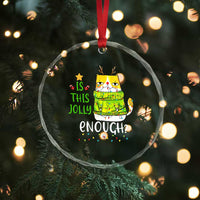 Funny Xmas Cat Crystal Glass Ornament Is This Jolly Enough Reindeer Angry Cat TS09