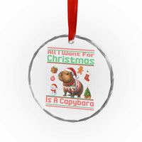 Funny Xmas Crystal Glass Ornament All I Want For Christmas Is A Capybara TS12