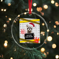 Funny Xmas Raccoon Crystal Glass Ornament Dear Santa I Can Explain TS09