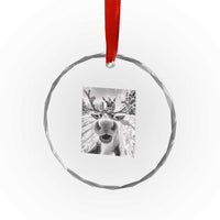 Funny Xmas Reindeer Selfie Crystal Glass Ornament With Santa Xmas Gag Gift TS02