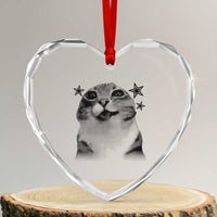 Funny Y2k Cat Meme Heart Crystal Glass Ornament Vintage Retro Silly Cats Cats lover Gift - Wonder Print Shop