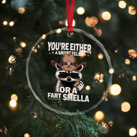 Funny You're Either A Smart Fella Or A Fart Smella Crystal Glass Ornament Cowboy Racoon TS11