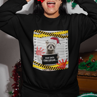 Christmas Sweatshirt Dear Santa I Can Explain Funny Raccoon Lover - Wonder Print Shop