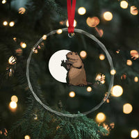 Groundhog Shadow Meteorlogy Crystal Glass Ornament Woodchuck Puppet Funny Gift TS02