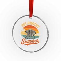 Hot Jimothy Summer Retro Sunset Beach Graphic Crystal Glass Ornament Funny Viral Seattle Raccoon Meme