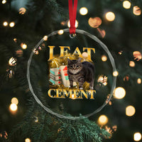 I Eat Cement Cat Meme Crystal Glass Ornament Funny Internet Memes Bootleg Cursed Cat Lovers TS10