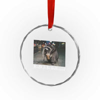 Its Ok To Be Different Jimothy Raccoon Crystal Glass Ornament Funny Short Spine Wildlife